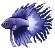 blue crowntail Slack emoji