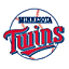 mlb twins Slack emoji