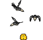 knuddels birds Slack emoji