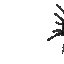 spider Slack emoji