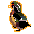 wood duck Slack emoji