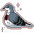 pigeon Slack emoji