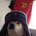 comrade dogge Slack emoji