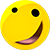 dumb Slack emoji