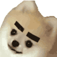 eyebrows Slack emoji