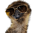 emu cool Slack emoji