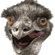 emu lul Slack emoji