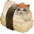 sushi cat Slack emoji