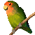 lovebird Slack emoji