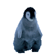 jamming penguin Slack emoji