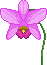 orchid Slack emoji