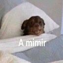 amimir Slack emoji