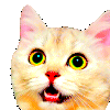 vibrate colors Slack emoji