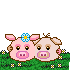 pigs love Slack emoji