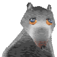 rare rat Slack emoji