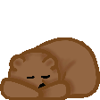 zzz bear Slack emoji