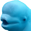 beluga Slack emoji