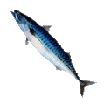 fish spin Slack emoji