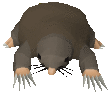 rare mole Slack emoji