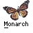 monarch butterfly Slack emoji