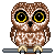 owl Slack emoji