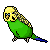 parakeet Slack emoji