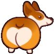corgi booty Slack emoji