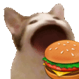 popcat burger Slack emoji