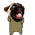 pug pls Slack emoji