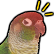 alert parrot Slack emoji