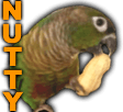 nutty Slack emoji