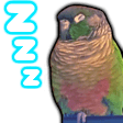 zzz parrot Slack emoji