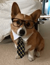 business corgi Slack emoji