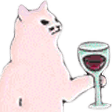 drunk cat Slack emoji