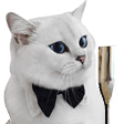 gentleman cat Slack emoji