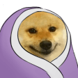 doge comfy Slack emoji