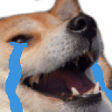 doge cry Slack emoji