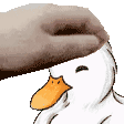 duck pet Slack emoji