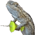 gecko pin Slack emoji