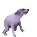 dancing dog Slack emoji