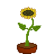 dancing sunflower Slack emoji