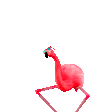 flamingo dance Slack emoji