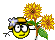 sunflowers Slack emoji