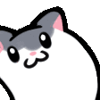 cat bobble Slack emoji