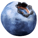 blueberry Slack emoji