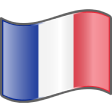 france Slack emoji