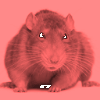 party rat Slack emoji