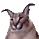 floppa jam Slack emoji