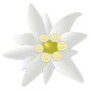 edelweiss Slack emoji