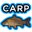 carp Slack emoji